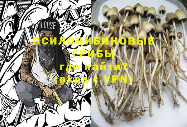 гидропоника Касимов