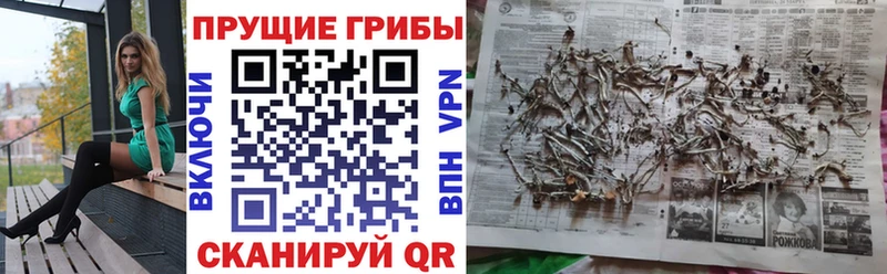 Купить где  Бокситогорск  Псилоцибиновые грибы мухоморы 